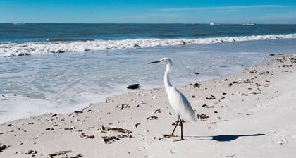 A Hidden Gem - Just Steps from Barefoot Beach - Studio Condo Queen Bed