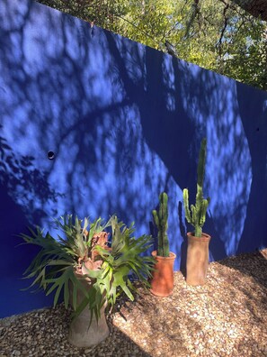 Property grounds - Cabanon l'annexe (Carqueiranne)