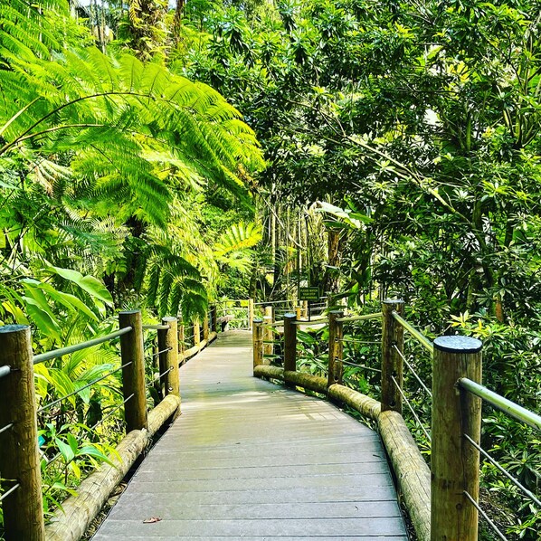 Áreas de la propiedad