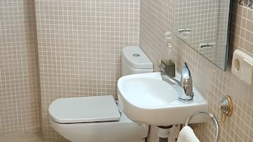 Ducha, secador de pelo y toallas