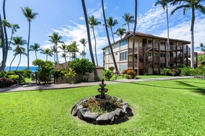 Property grounds - Ocean Front No Stairs Upgraded Concierge Included (Kailua-Kona)