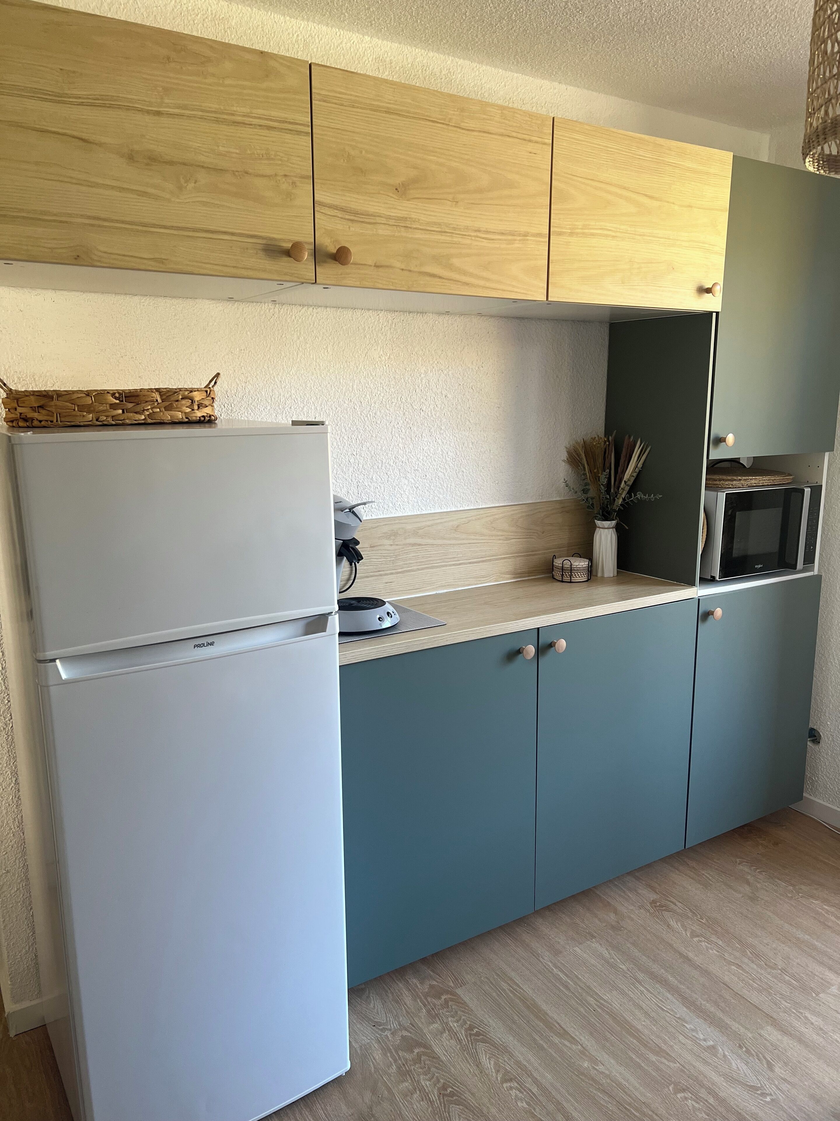 Kühlschrank, Mikrowelle, Herdplatte, Geschirrspüler