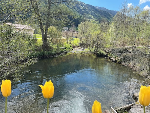 Studio 4 personnes vue montagne. Animaux de compagnie acceptés.