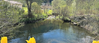 4-person studio with mountain view. Pets welcome.