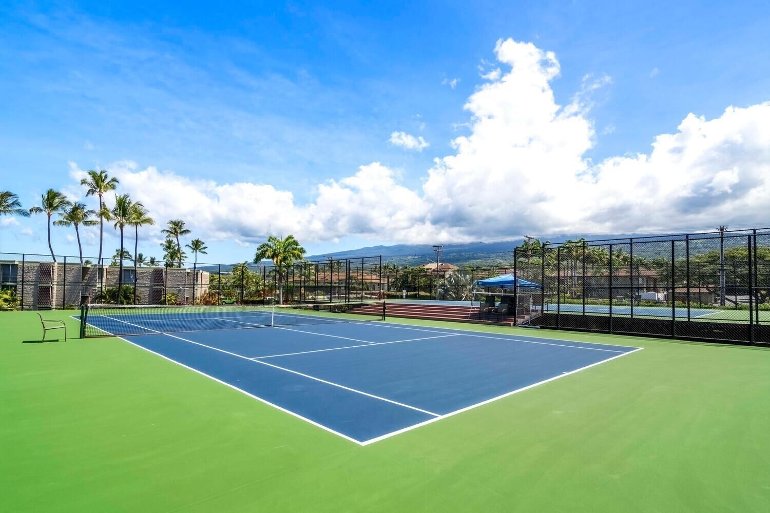 Una cancha de tenis con una red, rodeada por una valla, palmeras y montañas al fondo.
