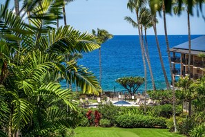 Property grounds - Great Location AC & Wifi Concierge Included! (Kailua-Kona)
