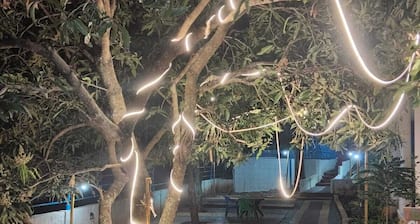 Hill forrest by sky inn