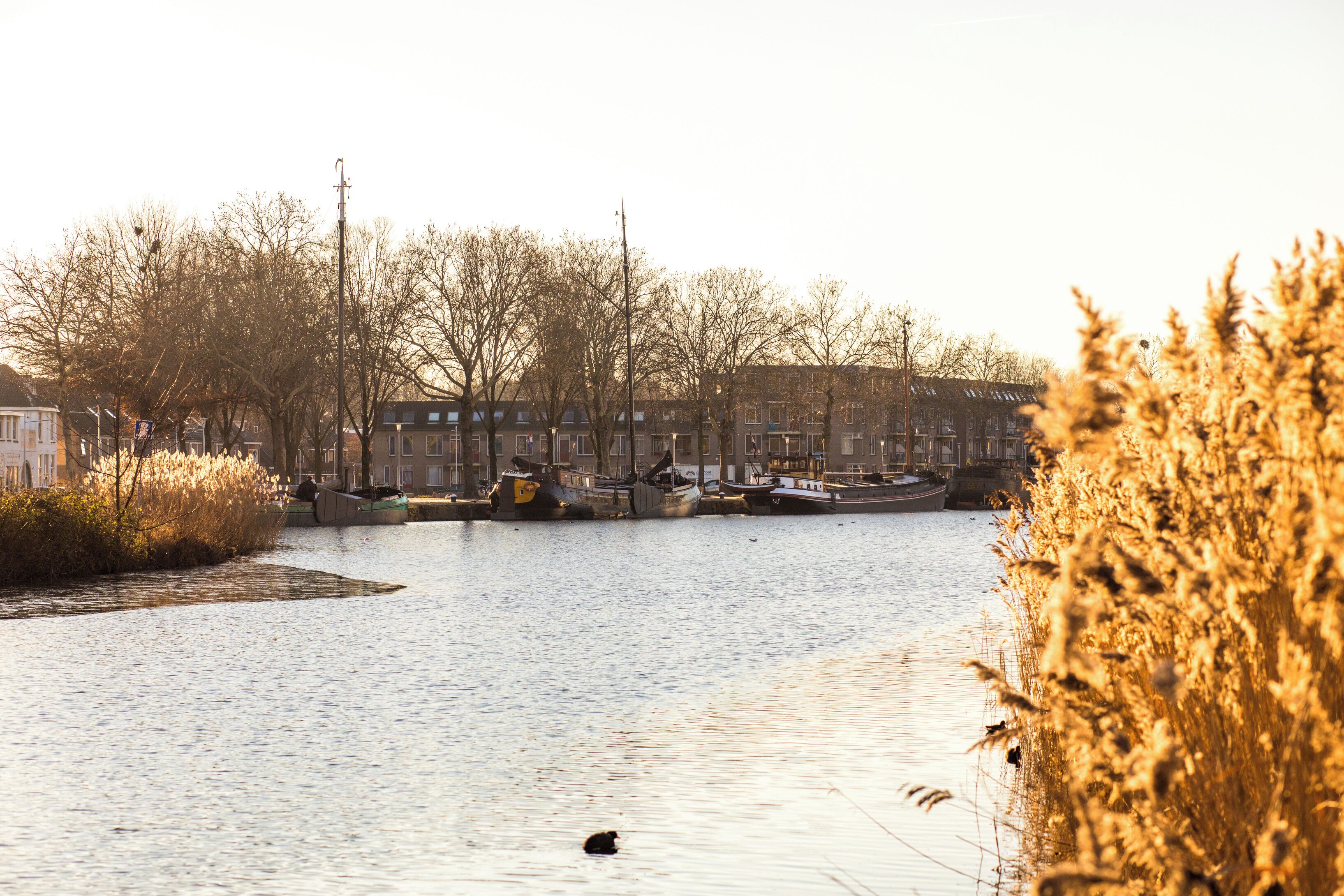 A canal with boats, buildings, and trees.