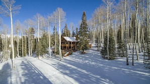 Une cabane en bois, entourée de grands arbres, se dressant au milieu d’un paysage enneigé.