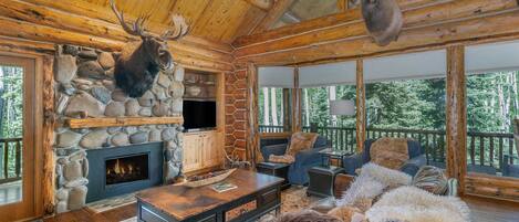 智能電視、壁爐、書籍、音樂庫