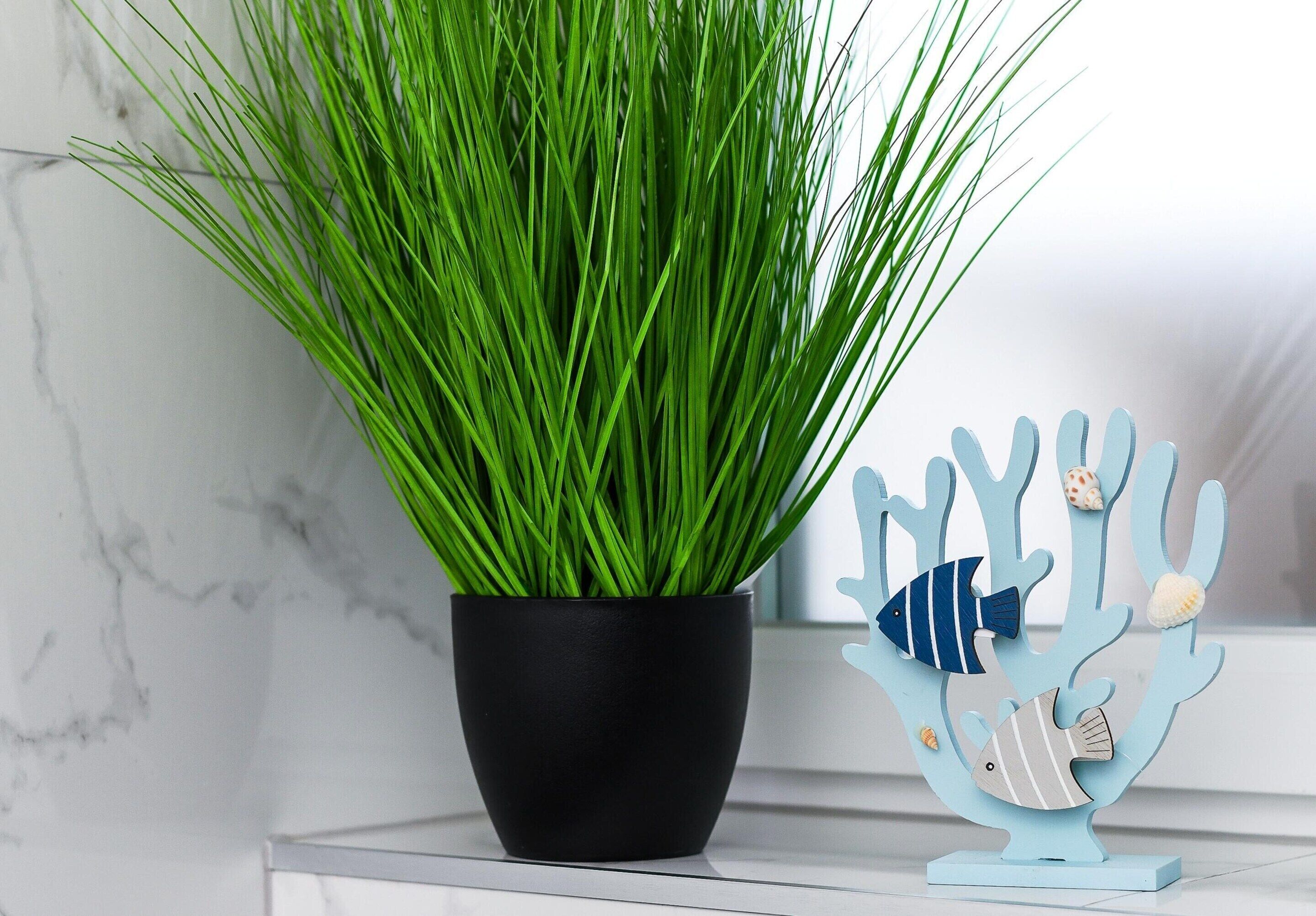 Une plante en pot, avec de longues feuilles vertes, est placée dans un pot noir, à côté d’une décoration bleue en forme de corail ornée de motifs de poissons.