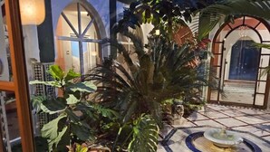 Une cour avec une fontaine, de grands pots de plantes et un sol carrelé.