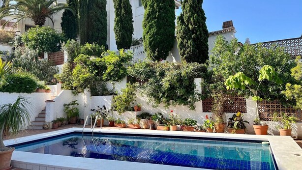 Una piscina con borda piastrellata, circondata da piante in vaso e alberi alti.