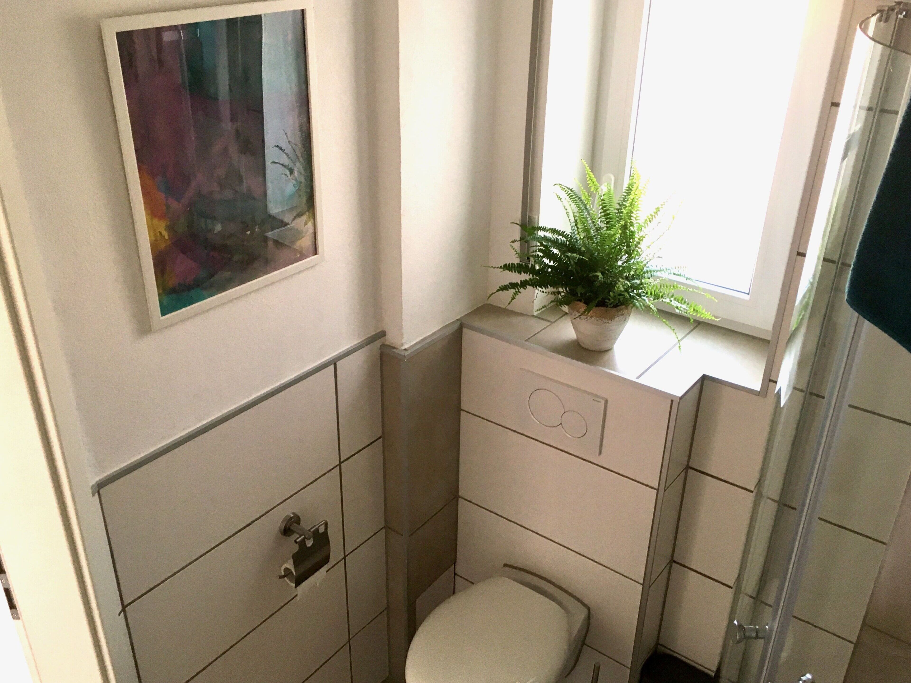 A bathroom with a toilet, a sink, a mirror, a potted plant, and a window.