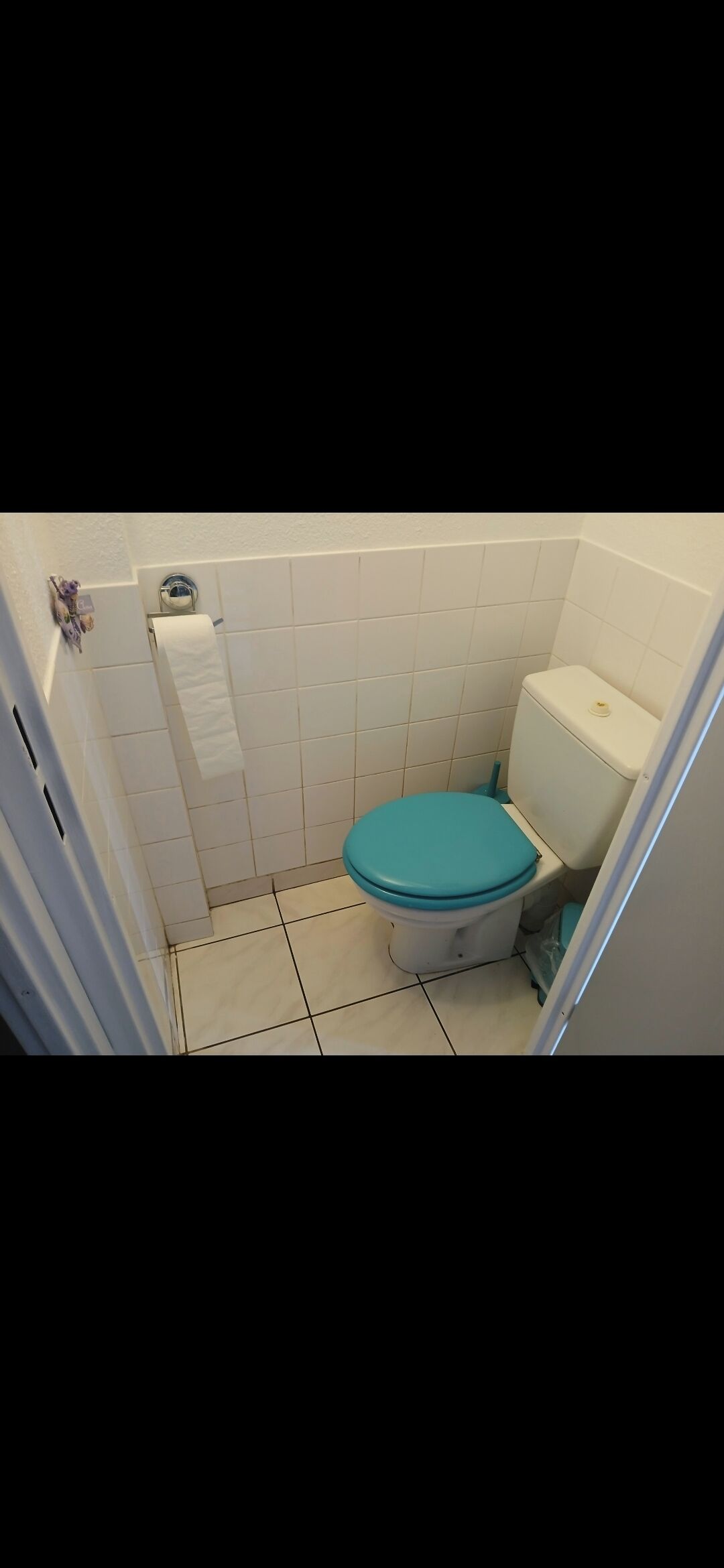 Dutxa i assecador de cabells 