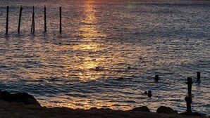 A sunset over a calm sea with a sailboat in the distance. - Charming 1-bedroom apartment in perfect Oranjestad with outside Pool (Oranjestad)