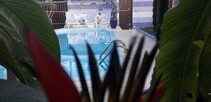 Pool - Beach house in Porto de Galinhas with private pool. (Ipojuca)