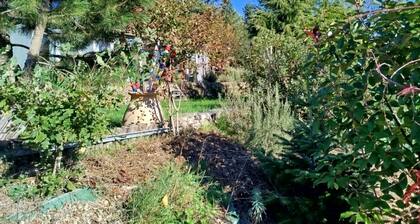 Maison-containers en Nord-ArdĂšche