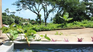 A swimming pool with clear water, surrounded by lush greenery and trees. - Lodges Mont-Vert (Le Robert)