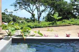 Una piscina con agua cristalina, rodeada de exuberante vegetación y árboles.
