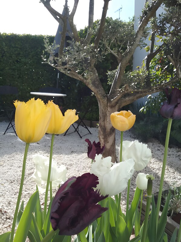 المنطقة المحيطة بالمنشأة