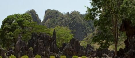 A natural landscape with rock formations and trees.
