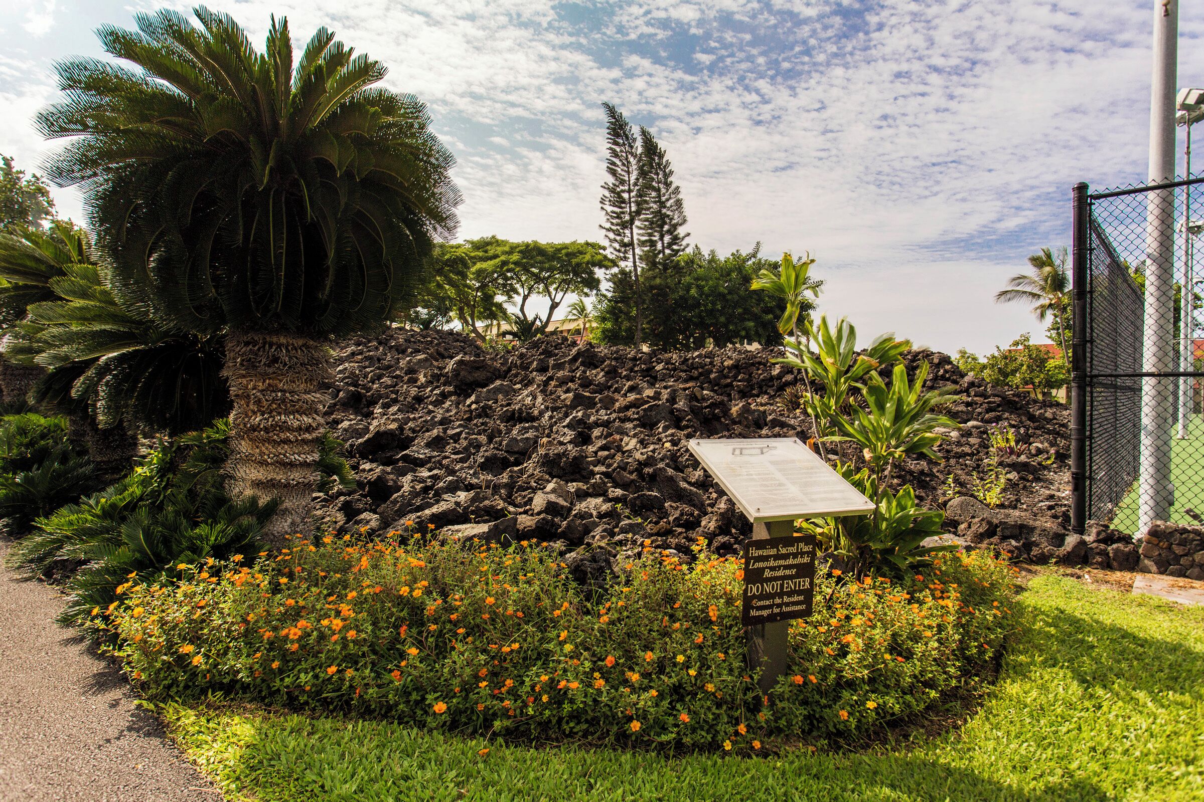 A garden with a sign, a pathway, and various plants.