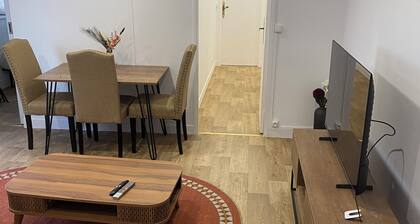 Pleasant apartment in the heart of the city