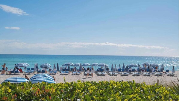A beach with rows of striped umbrellas and lounge chairs, a clear sky, and calm sea. - Beachwalk Resort Studio w/ Canal View Walk to Beach (Hallandale Beach)