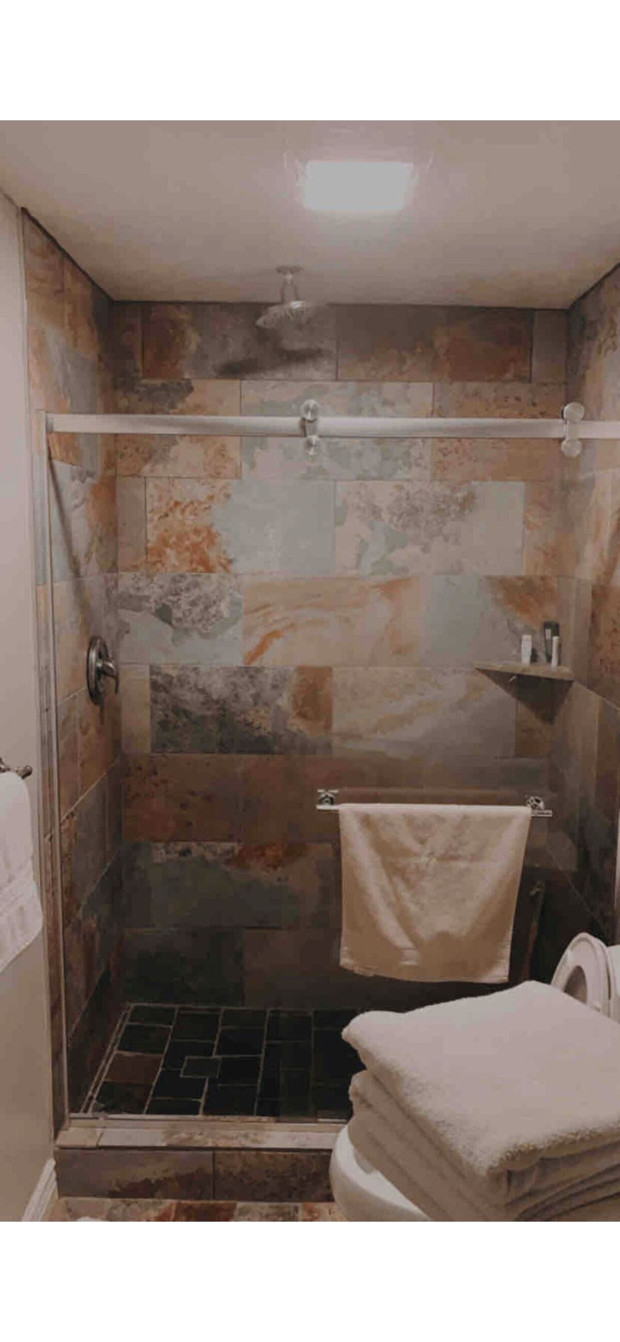 Shower, towels, toilet paper