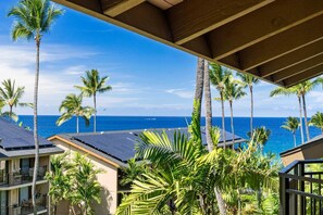 Property grounds - Ocean View Top Floor Concierge Included! (Kailua-Kona)