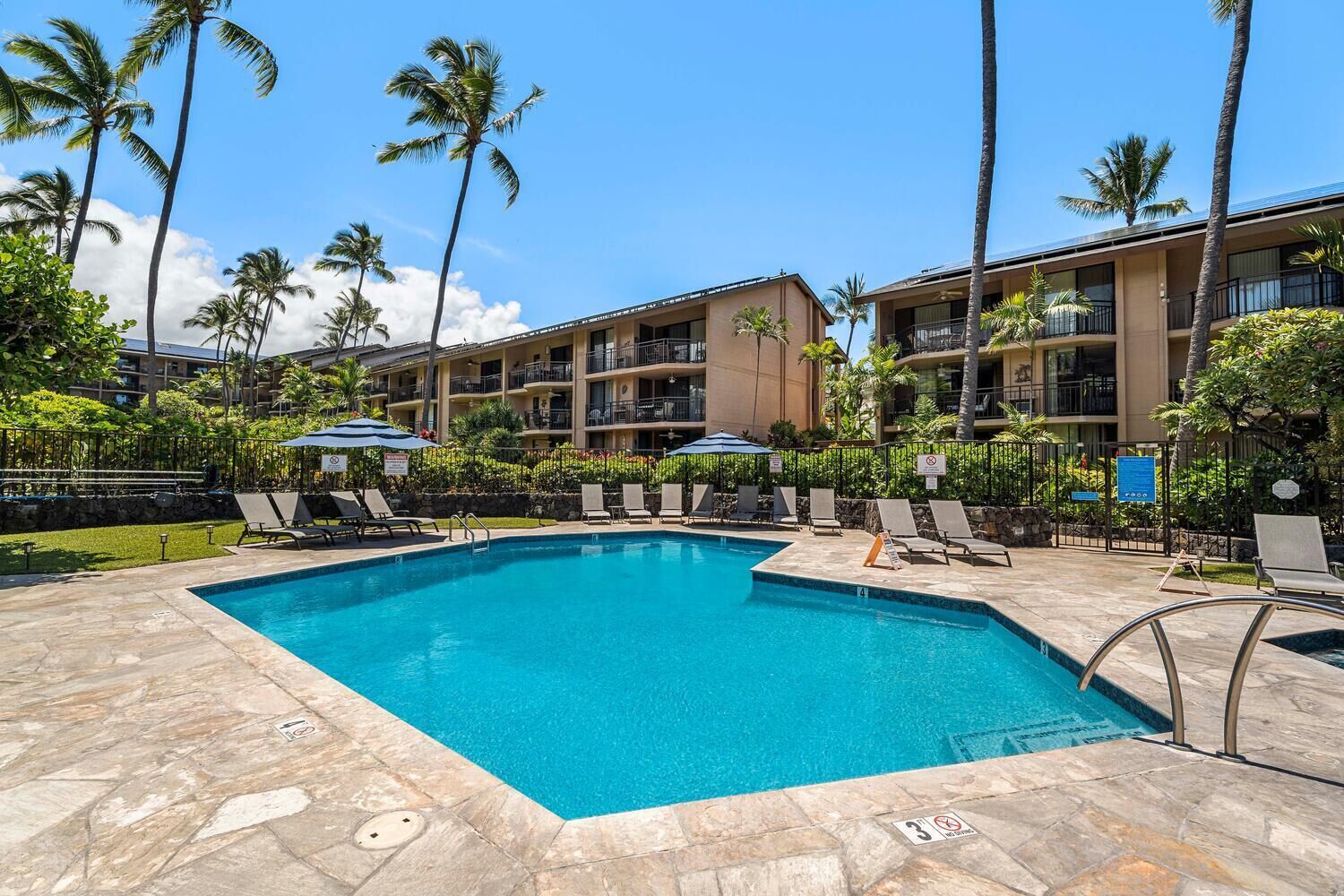 A swimming pool with lounge chairs and umbrellas, surrounded by palm trees and a multi-story building.