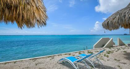 Book or BUY 2-BDR Condo with Oceanfront view and private palapas!