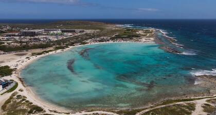 Book or BUY 2-BDR Condo with Oceanfront view and private palapas!