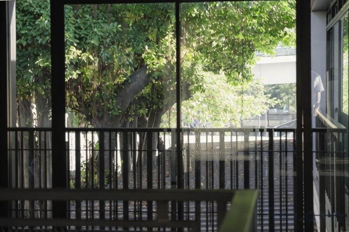 A view through a window with a metal railing, a bench, and a tree outside.
