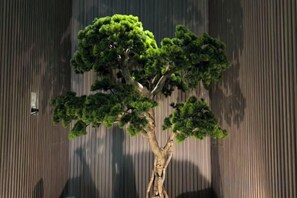 A tree with a thick trunk and dense foliage against a wooden background. - Norn Riverside Bangkok Hotel (Bangkok)