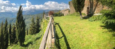 المنطقة المحيطة بالمنشأة