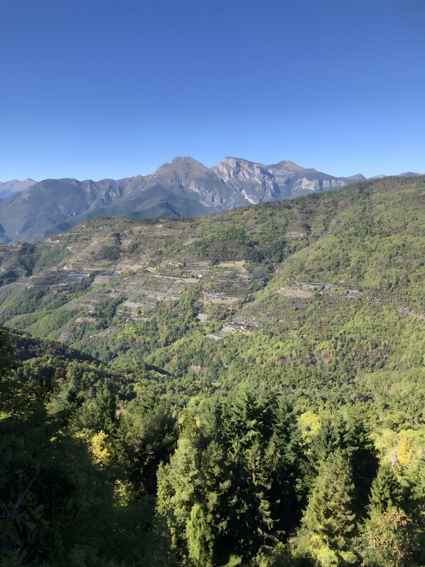 A mountainous landscape with dense forests and a valley with scattered buildings. - Body n Soul - Lover's Nest (bajardo)