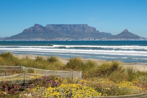 A coastal view with a prominent mountain in the background, a sandy beach, and a variety of wildflowers in the foreground. - Cape on Popham 21B (Cape Town)