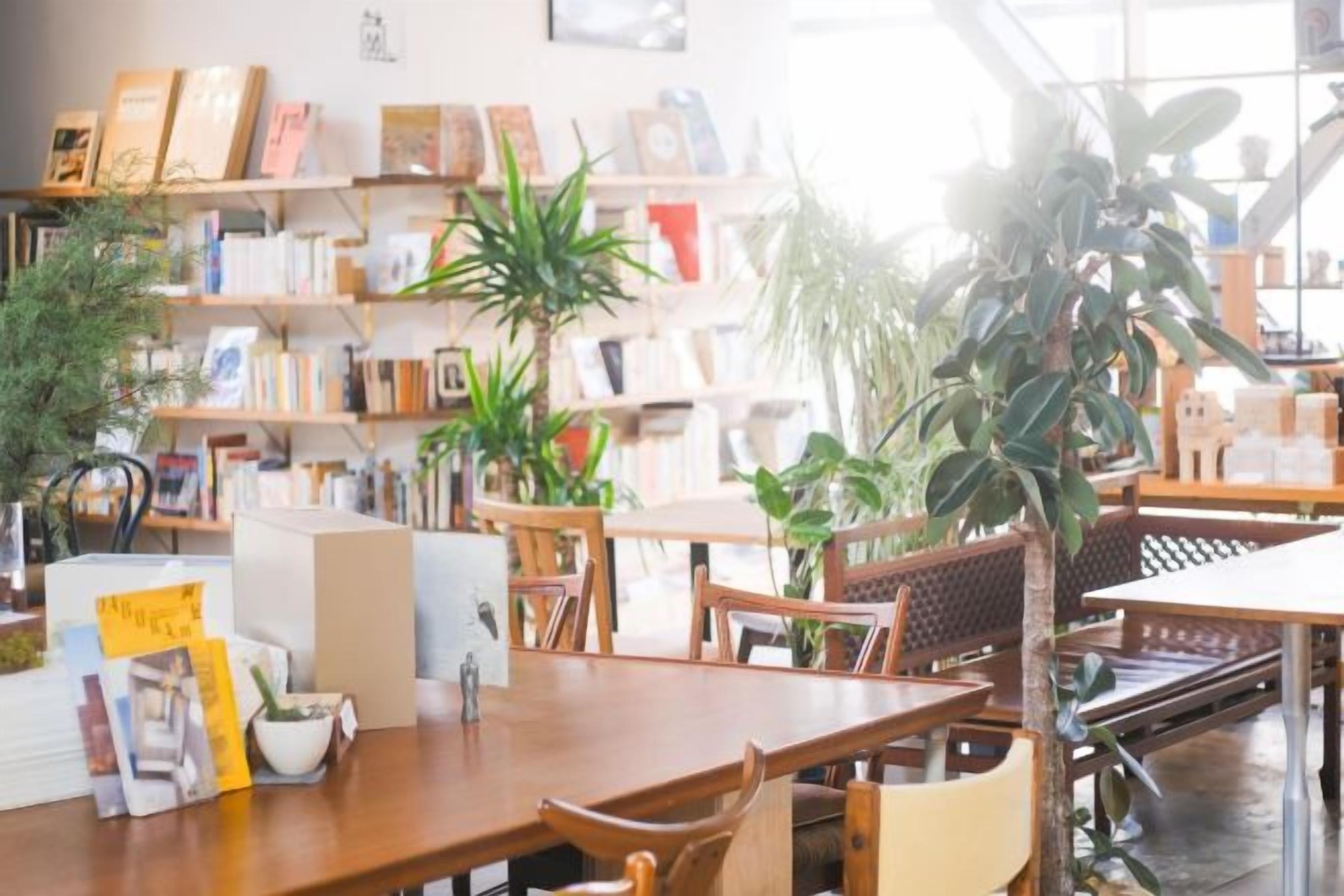 Una habitación con una mesa de madera, sillas, una estantería y plantas en macetas.