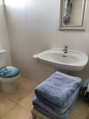 تجهيزات دش، مجففات شعر، مناشف