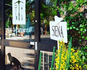 Une devanture de magasin avec une enseigne indiquant « la Miniera » et une autre enseigne indiquant « SIENA ».