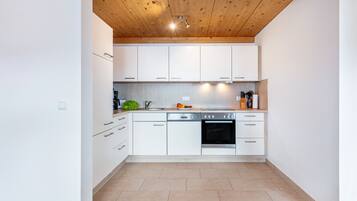 Kühlschrank, Ofen, Herdplatte, Geschirrspüler