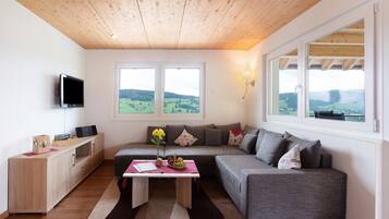 Televisión y estéreo