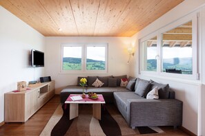 Télévision, chaîne hi-fi