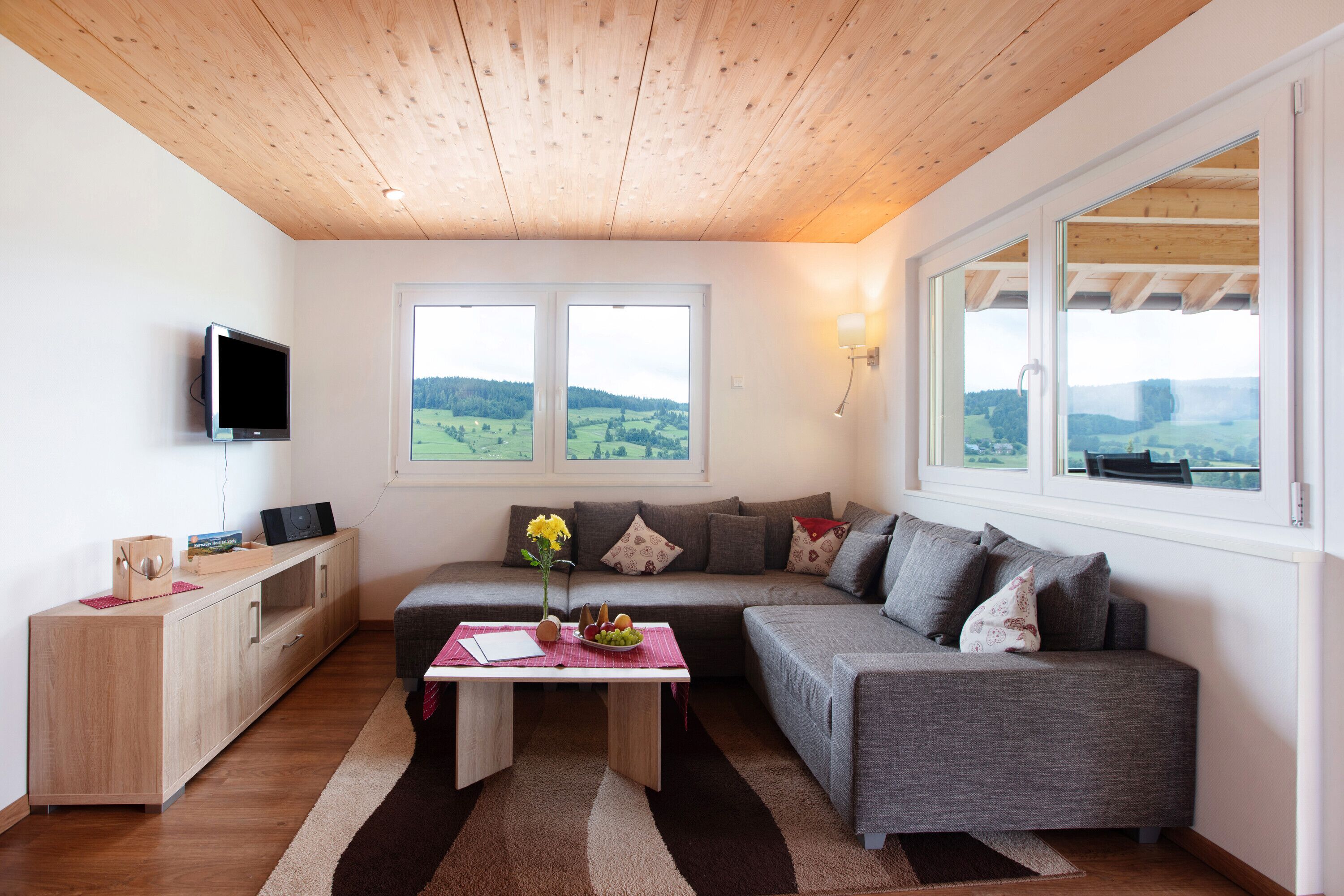 Fernseher, Stereoanlage