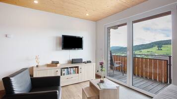 Fernseher, Stereoanlage