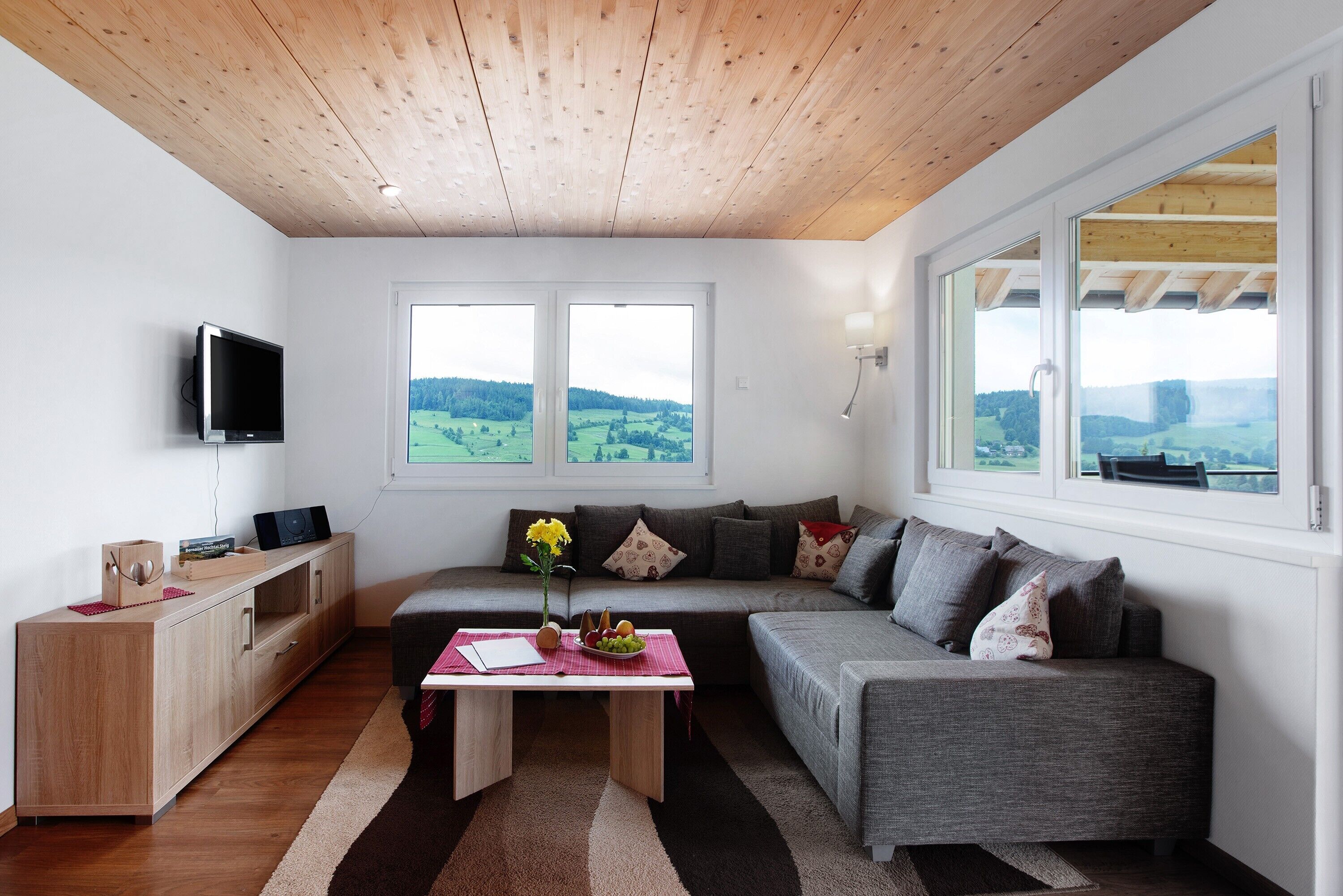 Televisión, mesa de ping pong, estéreo