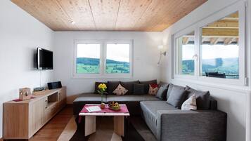 Televisión, mesa de ping pong, estéreo