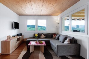 TV, tavolo da ping pong, impianto stereo